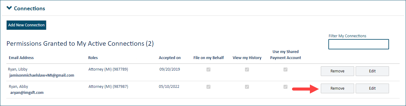 Connection pane - Active Connections section