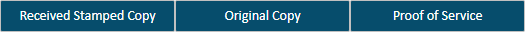 Download Proof of Service option Download Proof of Service option