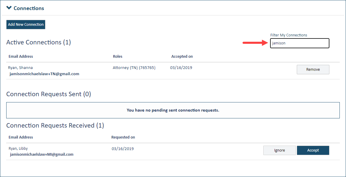 Connections pane - Filter field populated