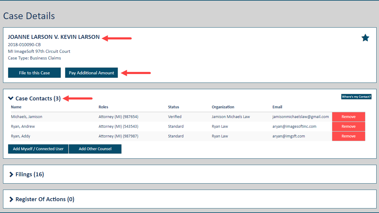 Case Details page