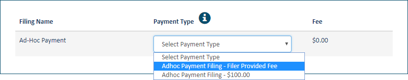 Ad hoc payment type options