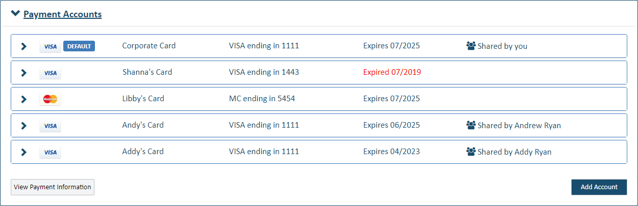 Payment Accounts pane