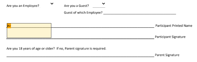 Anchor is applied to the document Designer - Document Viewer